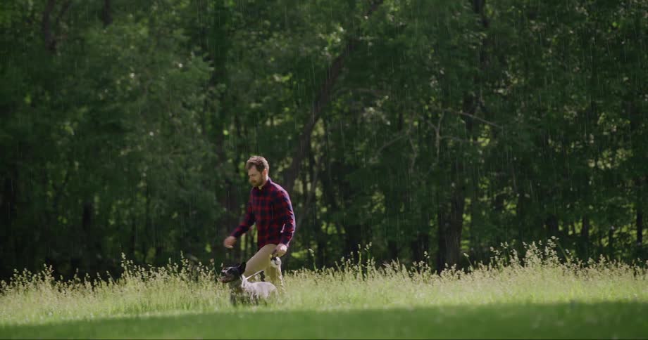 Man walking his dog in a field by the forest