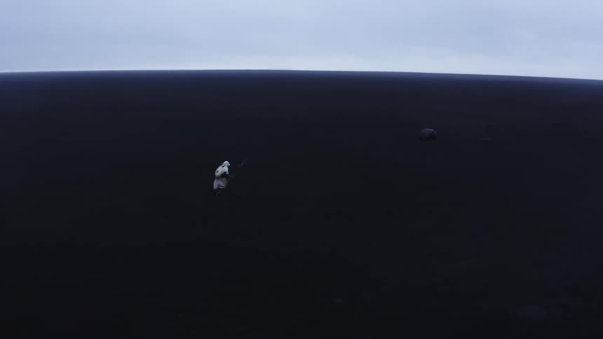 A person walks across the land