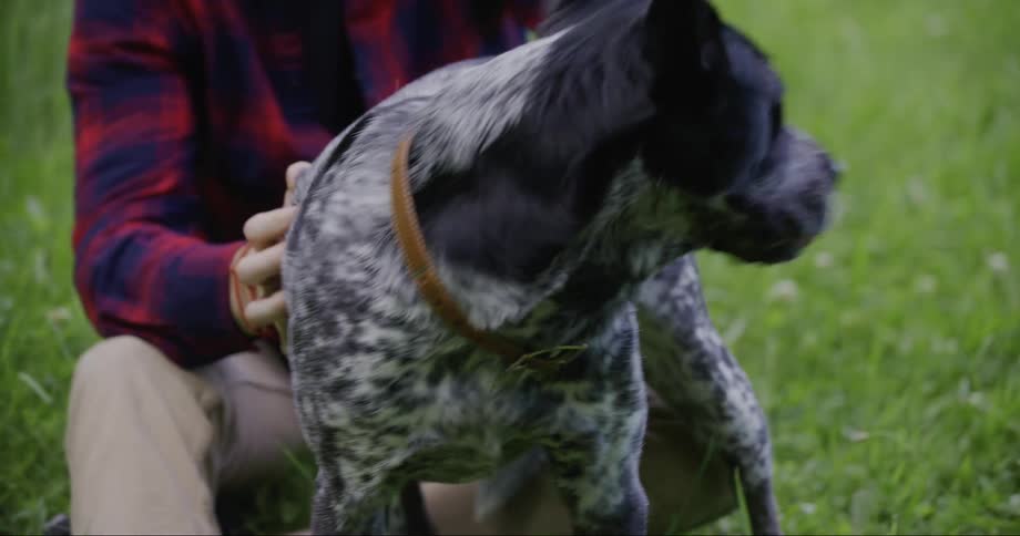 A man petting a black and white dog in a grass field
