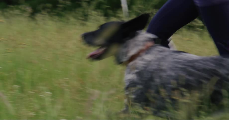 Woman running in reeds with a dog