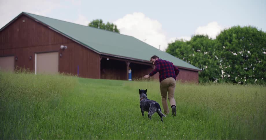 Dog runs towards its owner who pets it and then runs back in the opposite direction