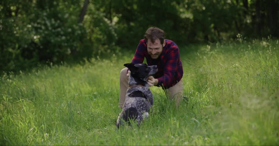 A man plays with his dog in a grassy field on a summer day