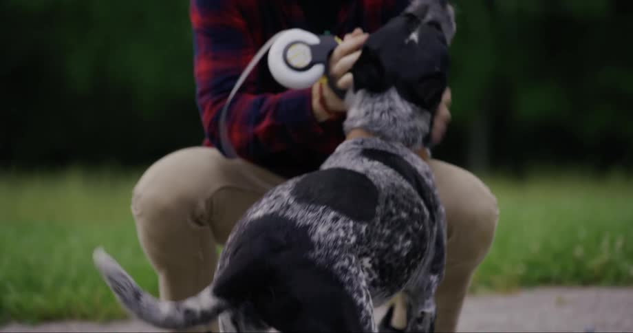 Man running with his dog on the grass and petting his body