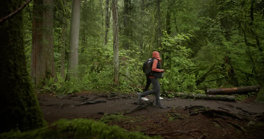 Two people hike through the forest