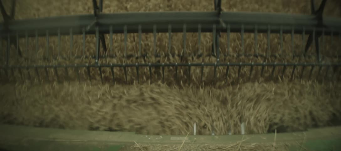 Mechanical device of an agricultural machine processing grains