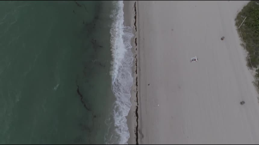 Aerial view of a beach where sea water meets sand with foaming waves
