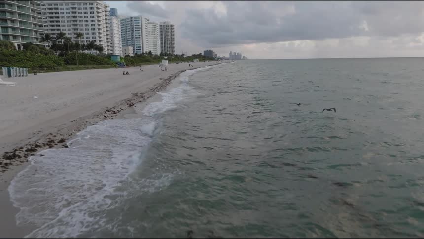 Two birds flying close to the surface of a beach on the edge of a metropolis