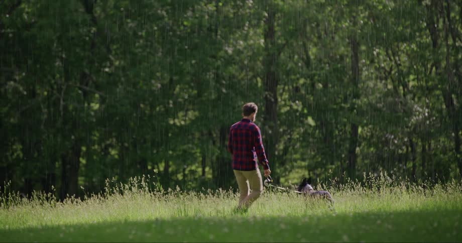 Man walking his dog in a reed field on a rainy day