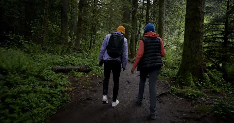 Two individuals walk along a forest trail surrounded by tall trees