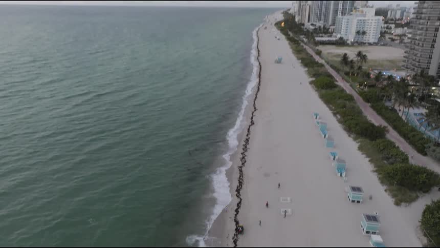 Aerial view of a coastal city block with an large but almost empty beach