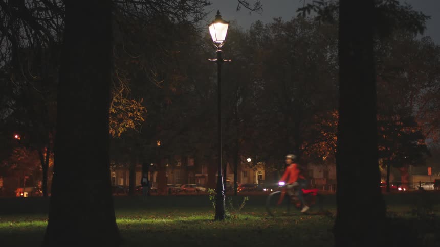 A person rides a bicycle on a dimly lit park at dusk with trees framing the scene