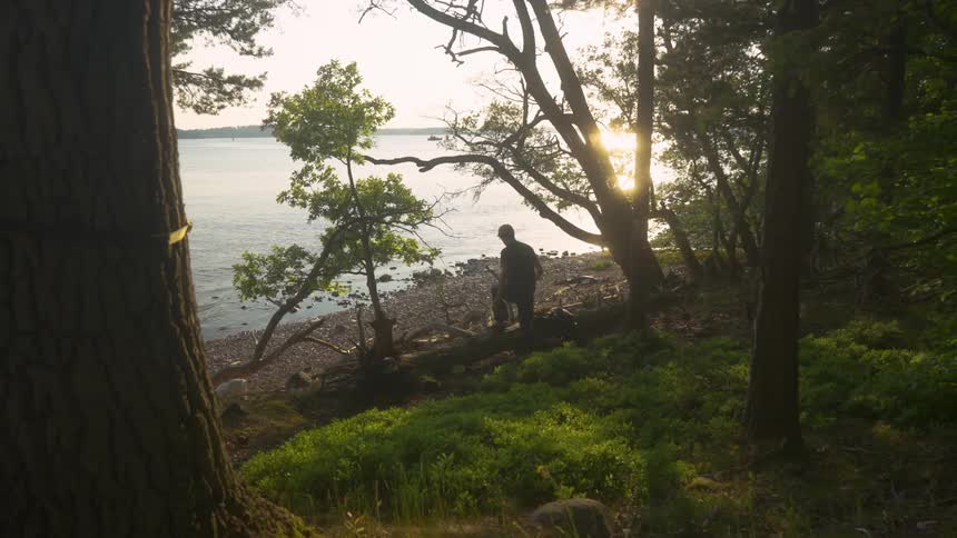 A person stands by the shore of a serene body of water surrounded by trees with sunlight filtering through the foliage