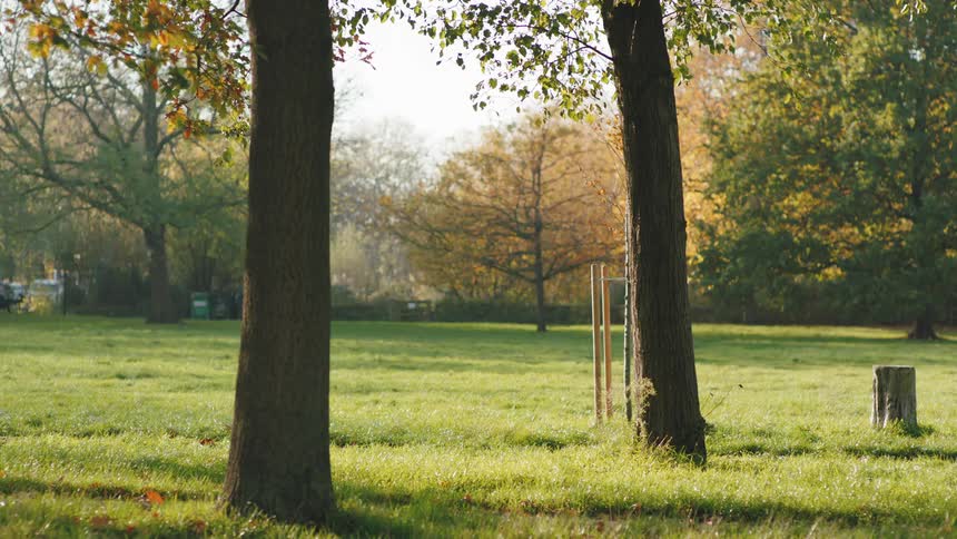 A delivery person riding a bicycle or motorcycle passes through a sunlit park