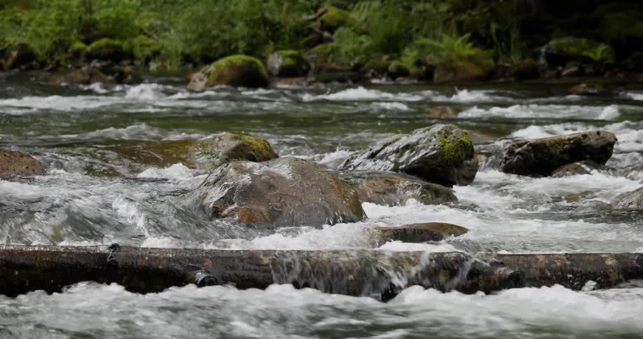 Tributary river in the middle of rocks with a greenish bank