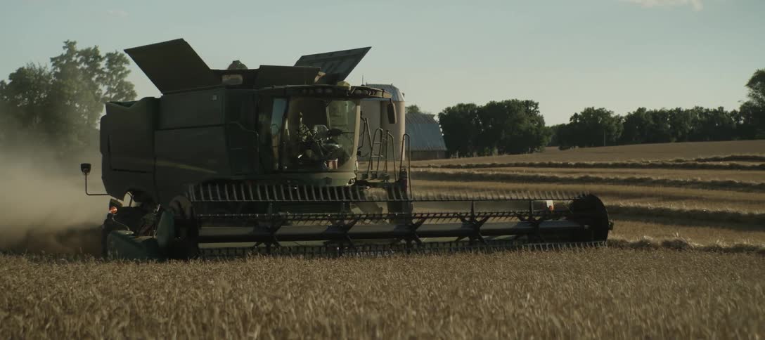A green combine harvester operates in a golden wheat field