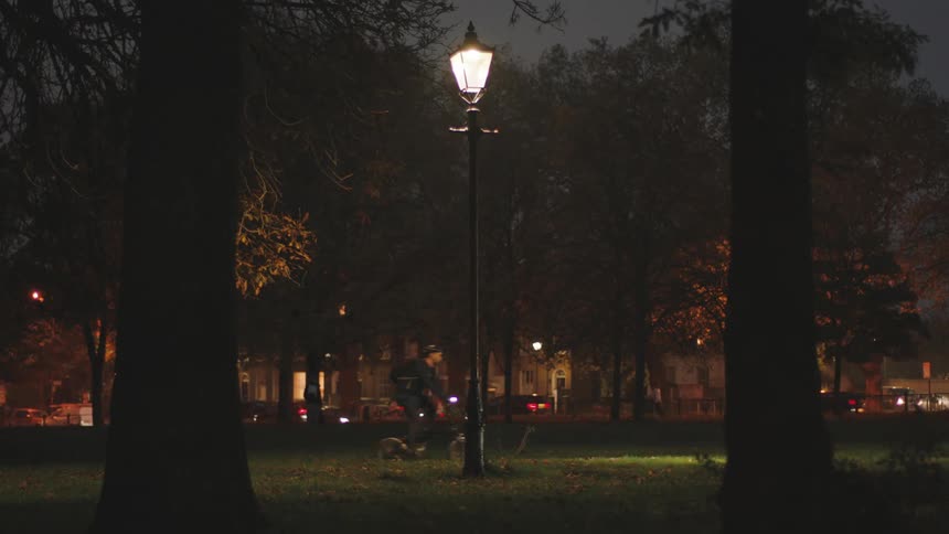 Cyclist pedals through a park near a busy street at night