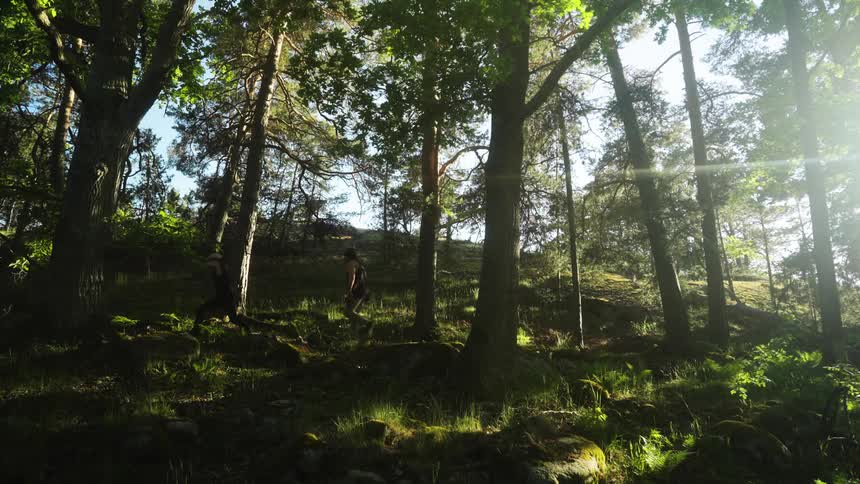 Two hikers walk through a serene forest with sunlight filtering through the trees