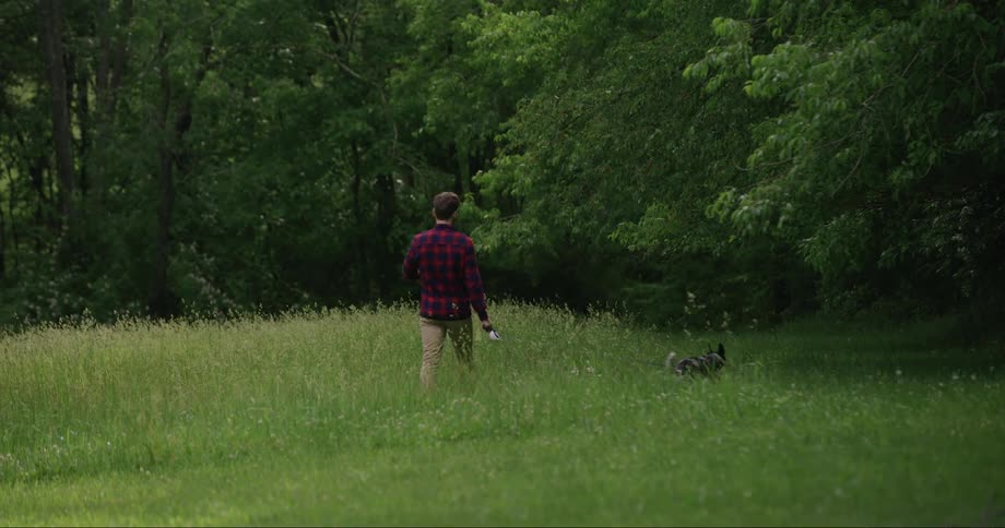 A man walks his dog through a field of grass into a forest
