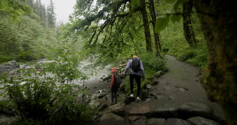 Woman walking along a forest trail next to a river