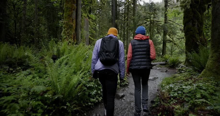 Two people are walking on a lush forest trail