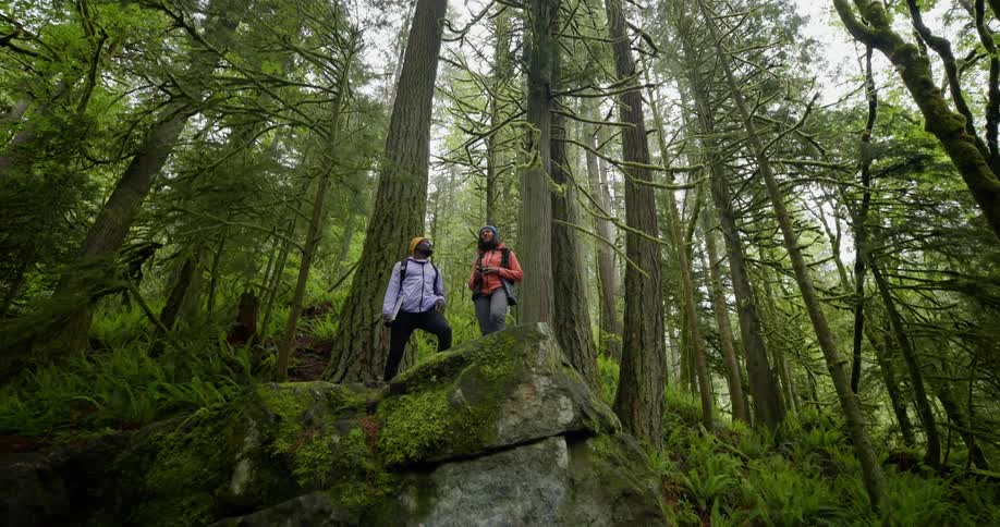 Man and woman on a rock in a forest with tall trees