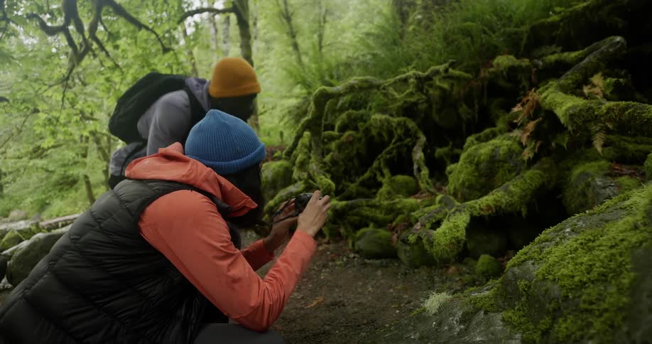 A man and a woman crouching to look at and take photos of a moss covered tree root