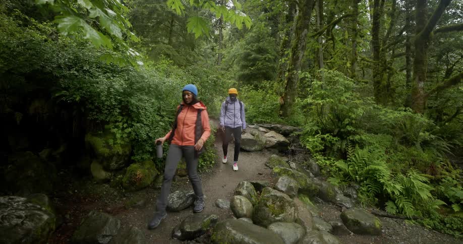 Two people hike along a rocky trail in the forest