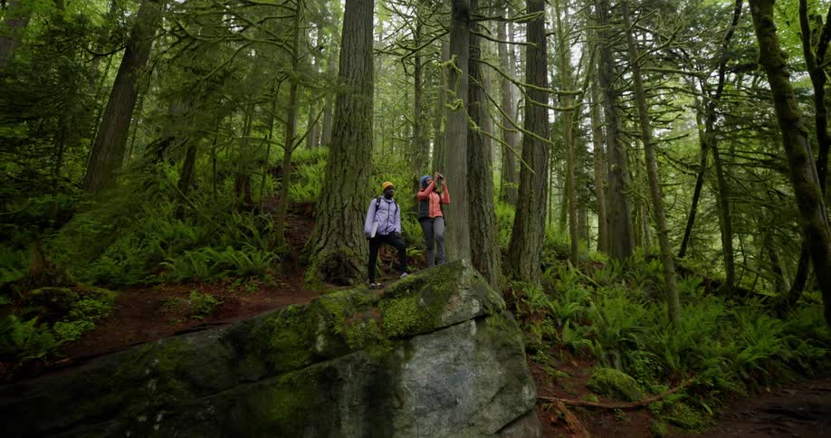 Two people with backpacks stand on mossy rocks in a dense forest with tall trees
