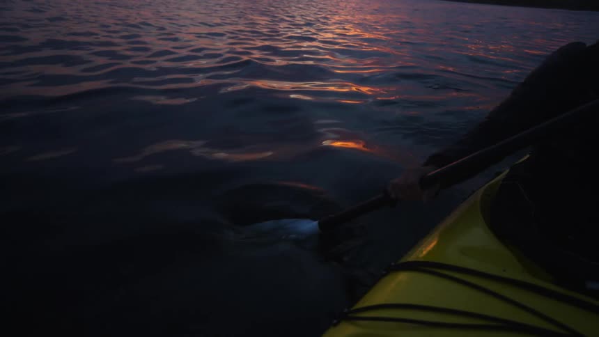 Silhouette of a person kayaking on a calm lake during a sunrise with a redhued sky