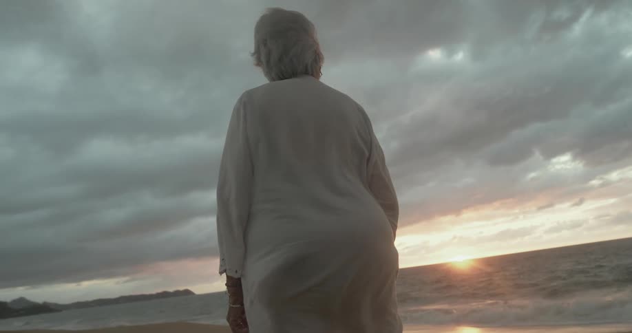 A woman on the shore stares at the sunset