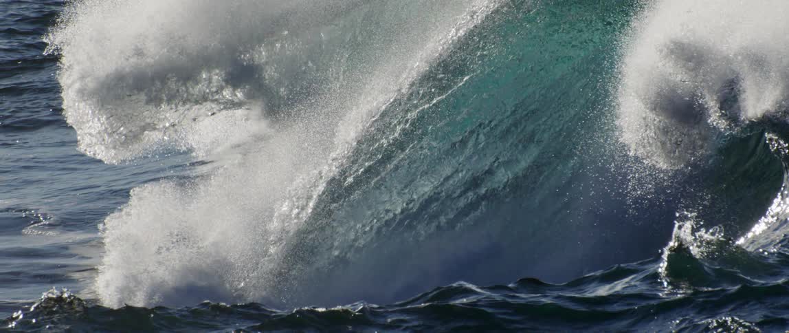 A wave crests and crashes in the ocean