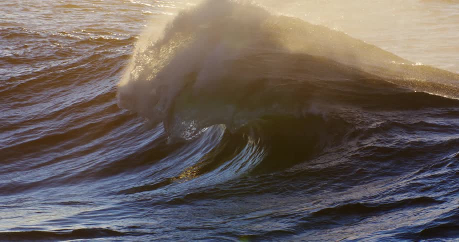 Wave forming in the sea and breaking with the reflection of sunlight