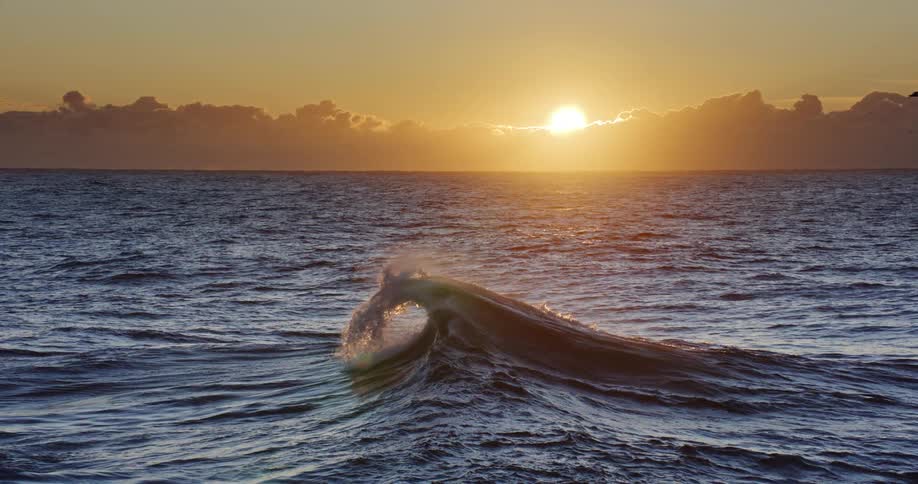 Birds flying over a large breaking wave are silhouetted against the sun sitting near the horizon