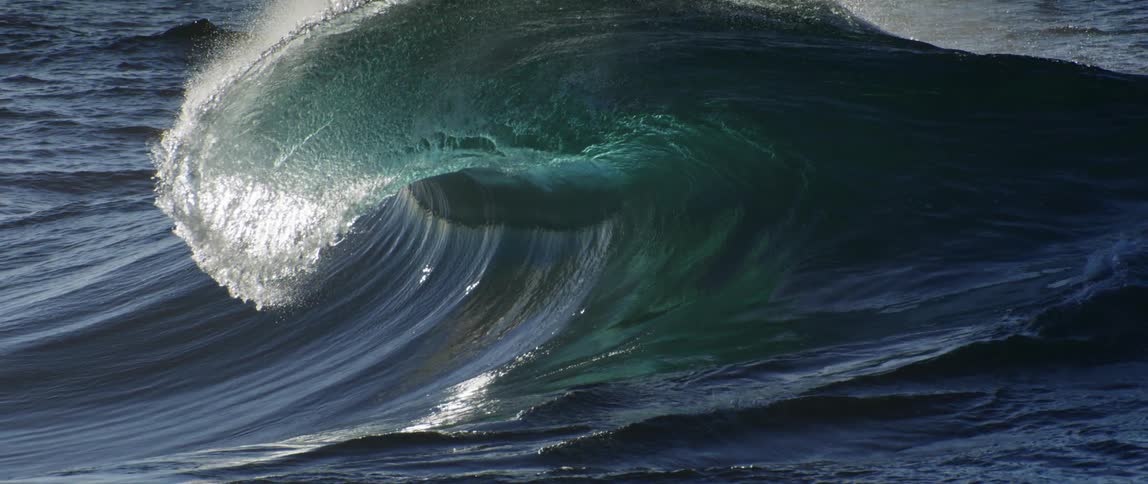 Wave breaks in the ocean with sunlight filtering through