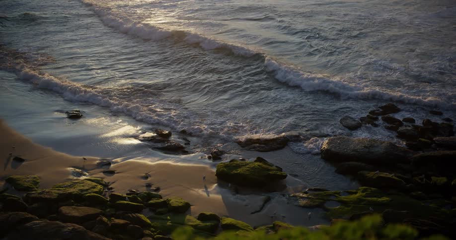 Small waves crash on the shore