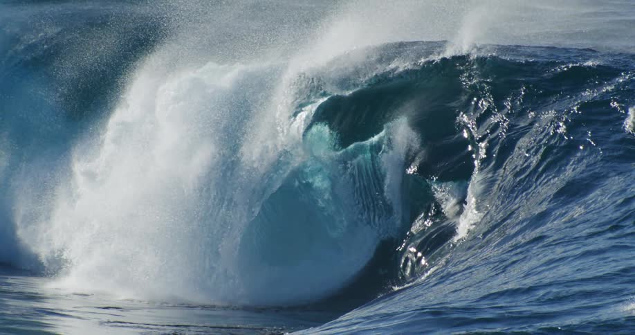 Wave in the ocean in a curving and breaking motion