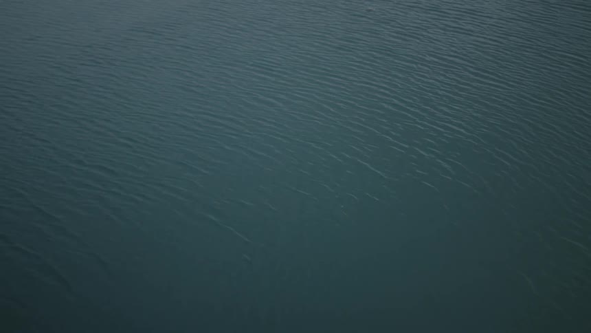 The water surface has gentle ripples