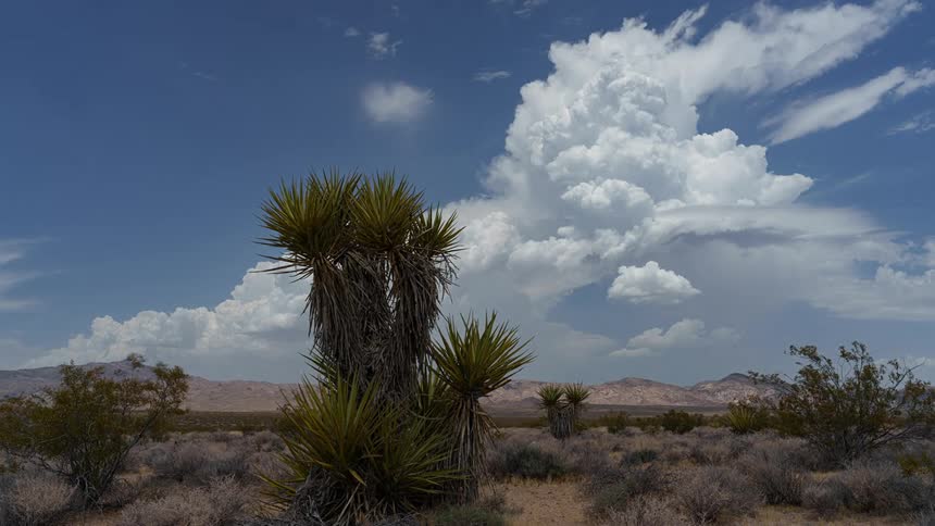 Desert landscape with canyons in the background and moving clouds