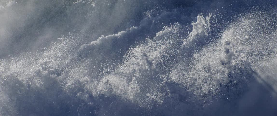 Wave is forming with sunlight highlighting the spray and foam
