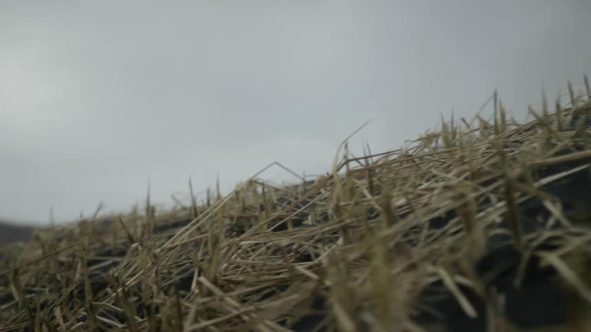 Dead drying grass covers a mound under an overcast sky
