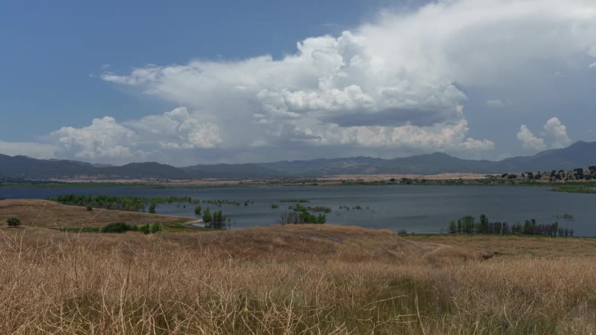Landscape with a large body of water and partially submerged vegetation near the shore with mountains in the background under a vast cloudy sky