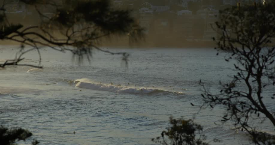 Multiple people surf a wave on a coastal rural area