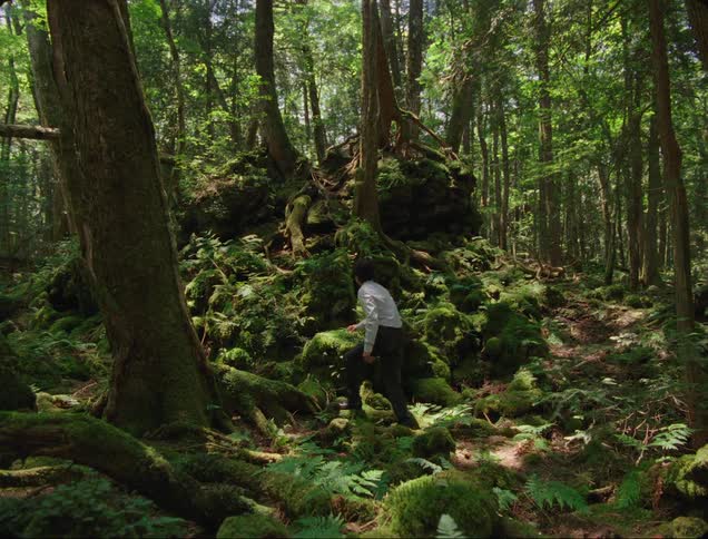 Man wearing office attire climbs the uneven ground of a forest mound