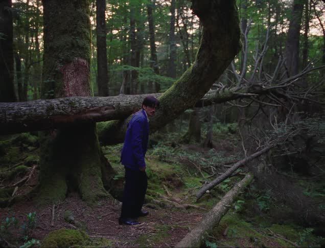 Man walking in a forest during dawn
