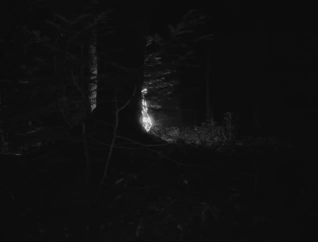 A glowing man walks through the woods at night