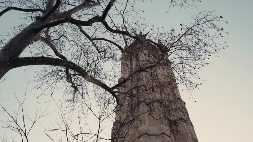 View upwards of a tower with classical architecture and a leafless tree in the foreground in Paris