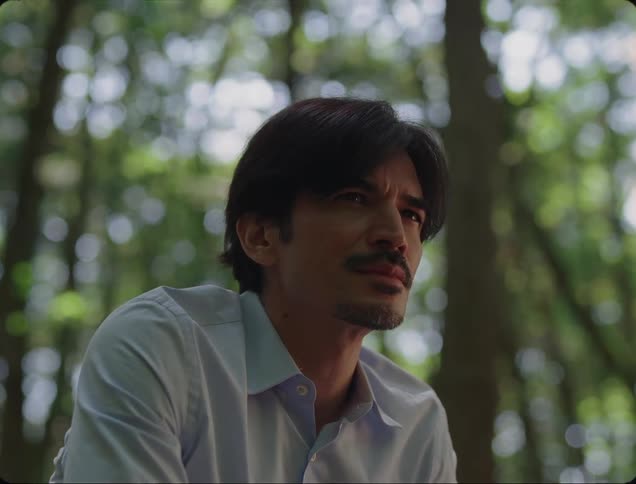 Man in dress shirt sitting in a forest during daytime