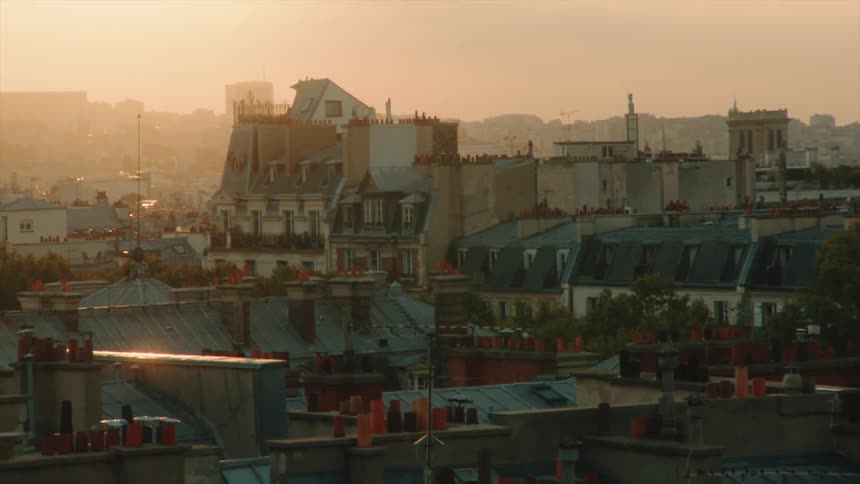 Panorama of an urban city with buildings and houses against a golden dawn sky in Paris