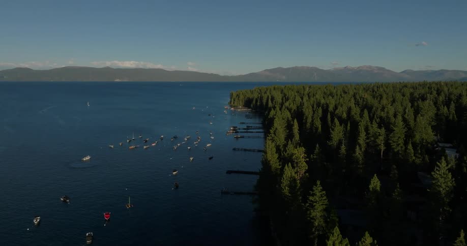 Many boats positioned and floating near docks in a rural area