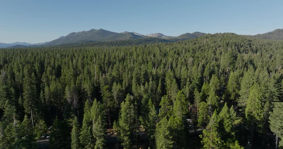Aerial view of a green coniferous forest and mountains with reliefs on the horizon